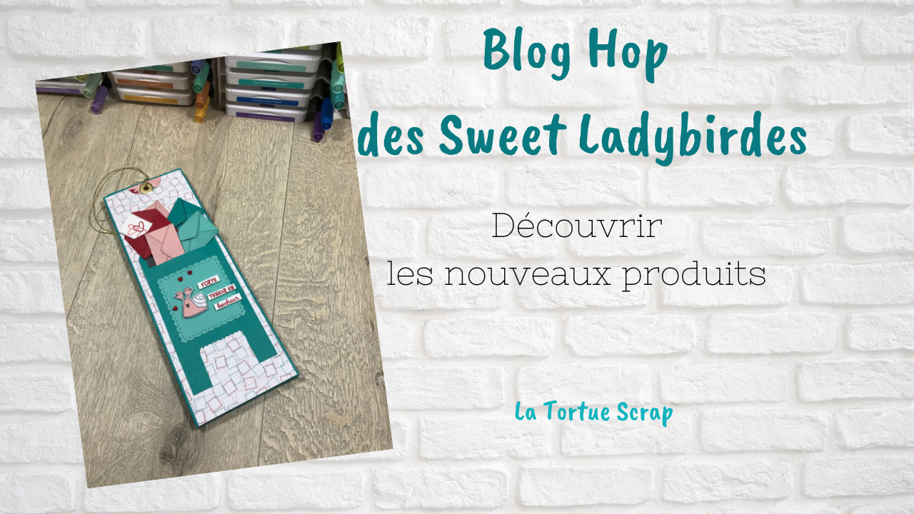 Blog Hop des sweet ladybirds