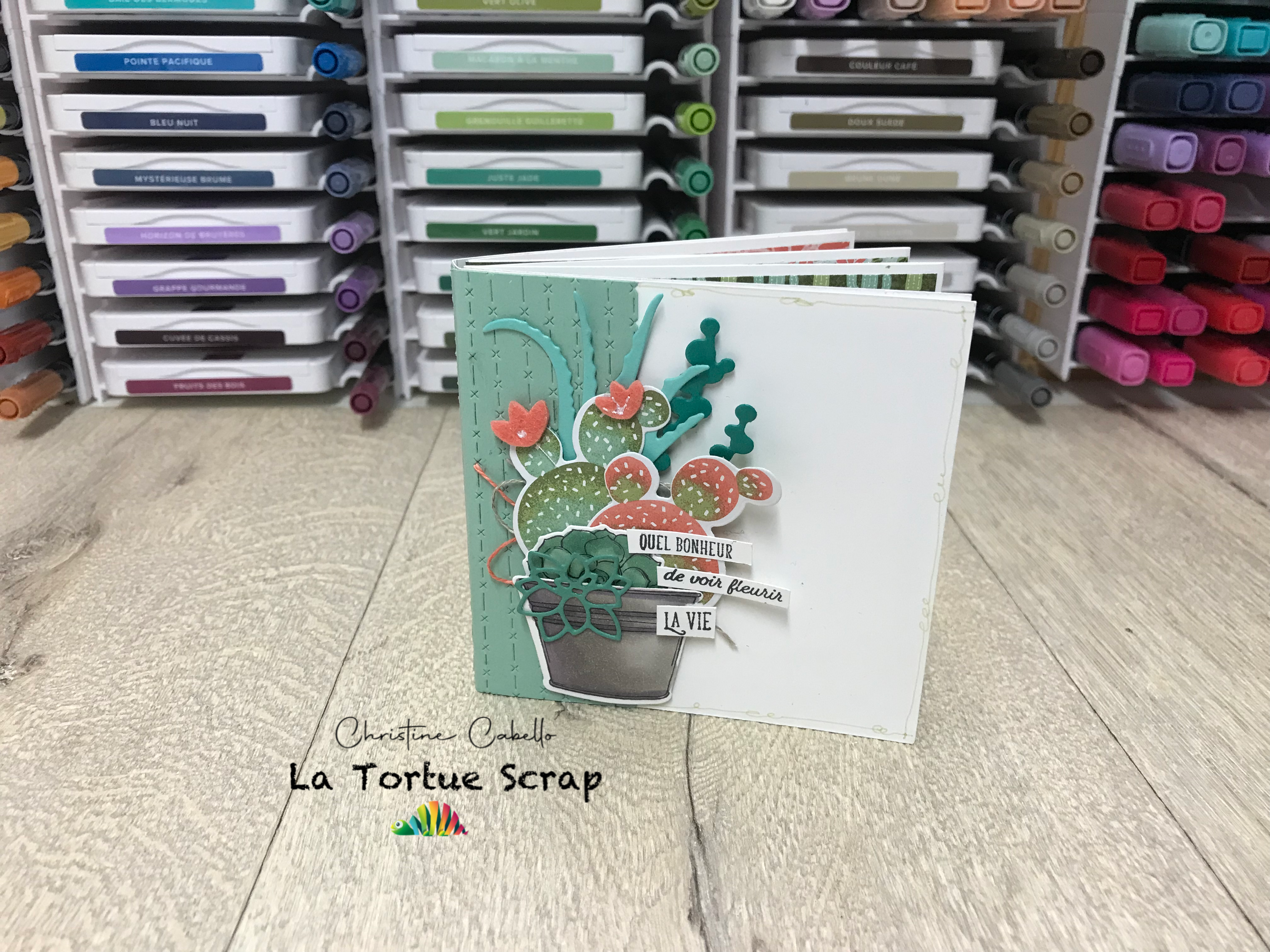 Tutoriel d’un mini album, qui pic pic avec ses cactus en fleur  .