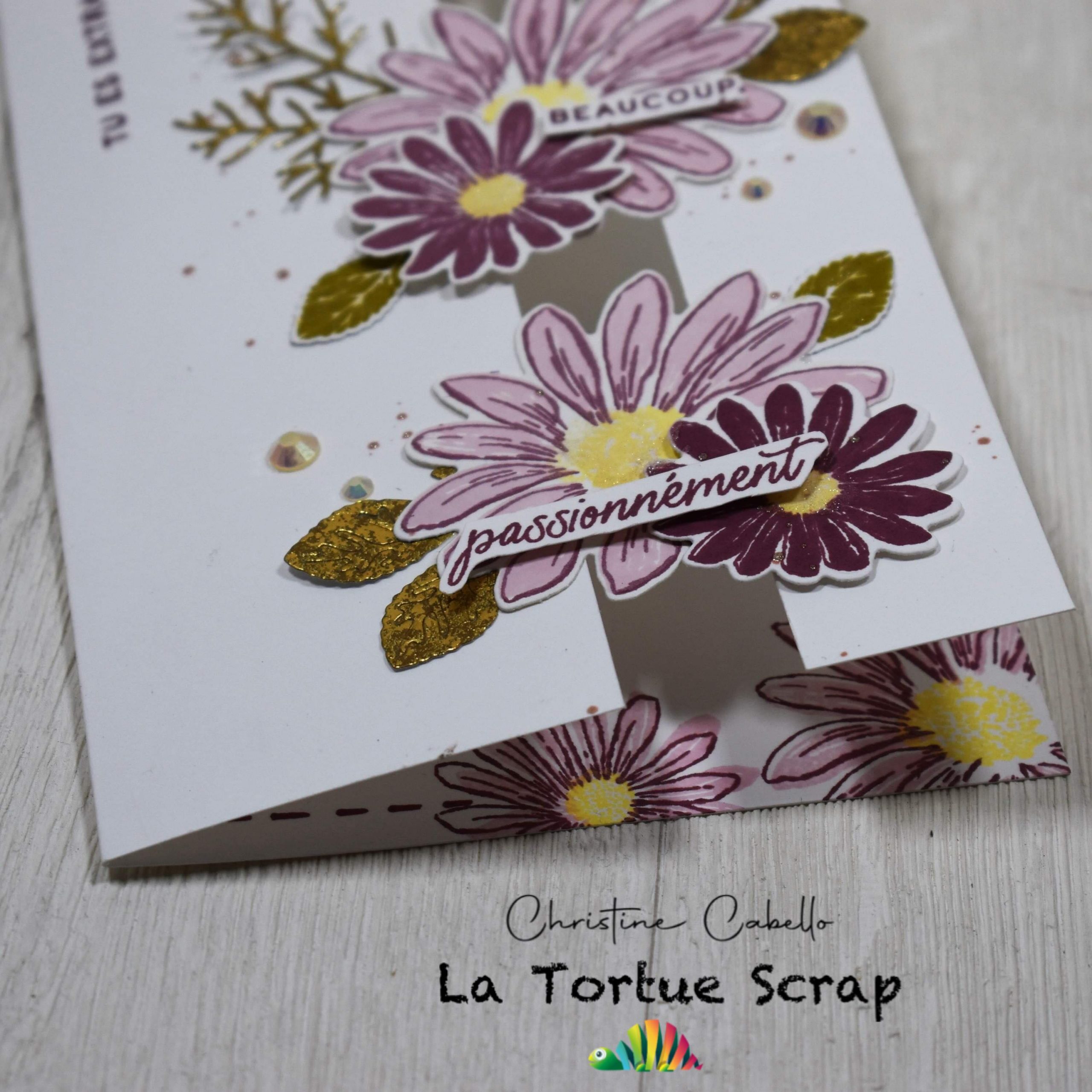 Lancement  du nouveau catalogue stampin’up , avec la collection fraîche marguerite