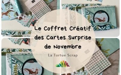 Le Coffret Créatif des Cartes Surprise de Novembre