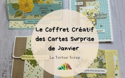 Le Coffret Créatif des Cartes Surprise de janvier
