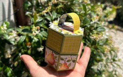 🌸 Tutoriel Boîte Hexagonale  – Collection Fleurs Épanouies .