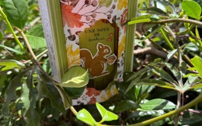 Tutoriel Carte Double Wahoo ✨ avec la collection Jardin Paisible