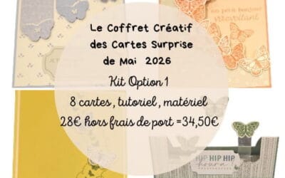 Le Coffret Créatif des Cartes Surprise de mai une envolée de PAPILLONS