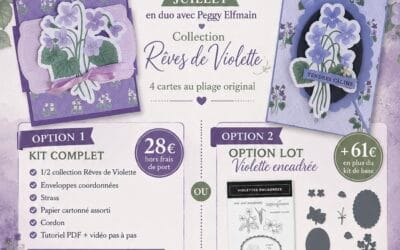 Le Coffret Créatif des Cartes Surprise de juillet