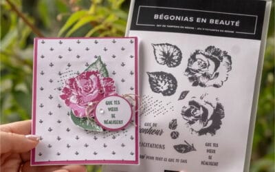 Bégonias en Beauté : la magie du double tamponnage .