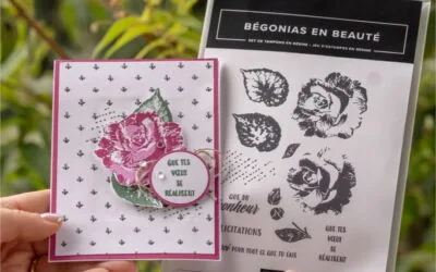 Bégonias en Beauté : la magie du double tamponnage .